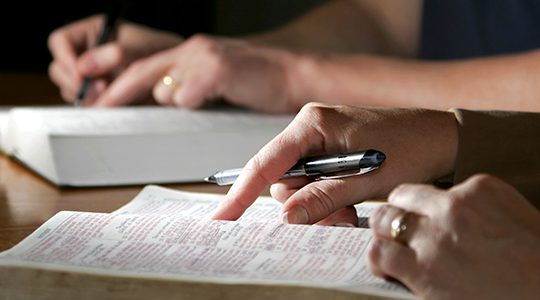 Happenings 11 November 2016