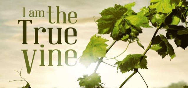 Happenings 4 July 2019