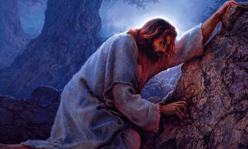 Happenings 26 March 2020